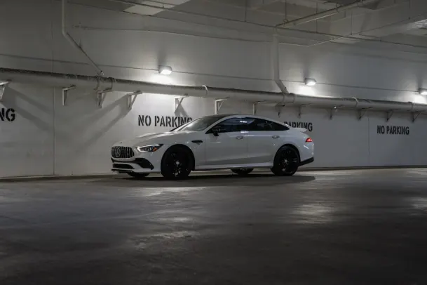 카지노 블랙 로터스 안드로이드/iOS 앱